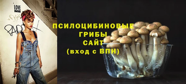 кокс Инсар