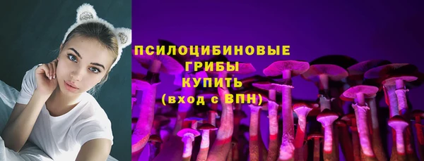 кокс Инсар