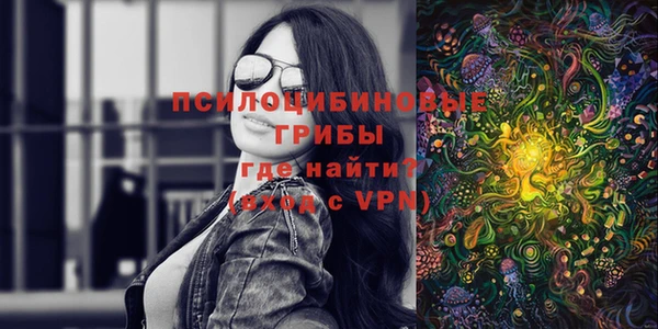 кокс Инсар