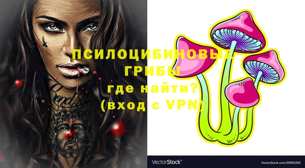крисы Иннополис