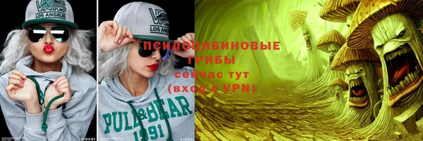 крисы Иннополис