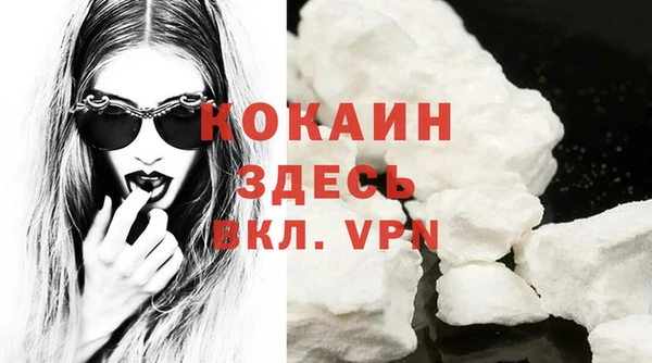 кокс Инсар