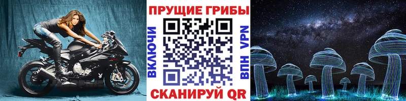 Галлюциногенные грибы Psilocybine cubensis  Купить где  Зуевка 